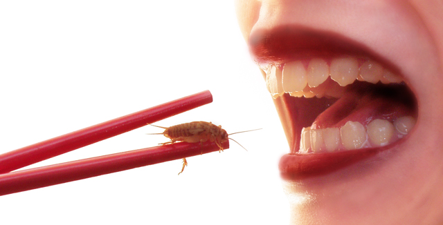 A Terrifying Thai Treat