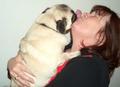 Pugs and Kisses