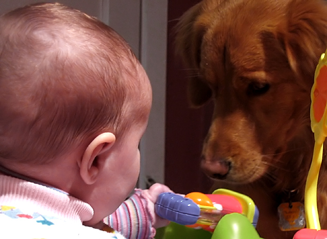 Baby <--> Dog relationship!