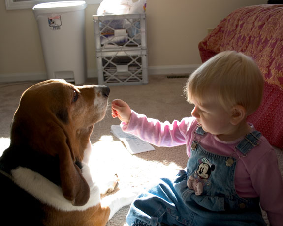 Dog and Baby