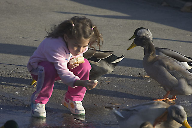 Feeding Her Part Time Pets