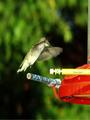 Coming in for a Landing