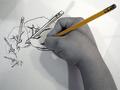 Hand Drawn Hands
