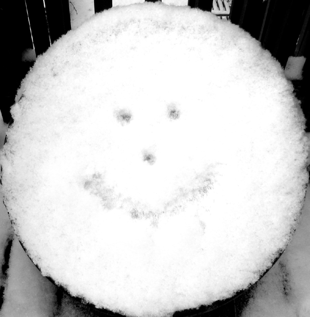 snow face