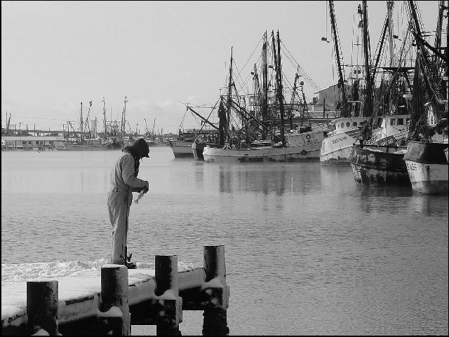 Old Town Harbor