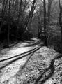 Long and Winding Road