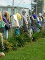    A lineup of Scarecrows
