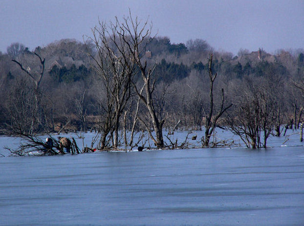 Lake Zorinsky