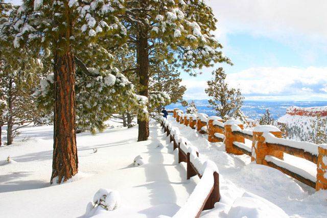 Waldo at Bryce Canyon