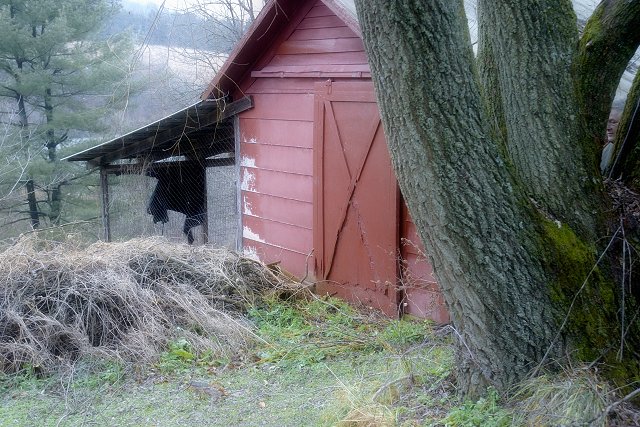 Behind the Barn