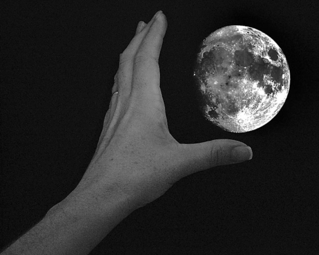 Reach for the Moon