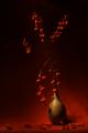 Autumn still life