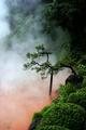The Blood Hells -- Beppu, Japan