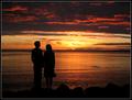In love at midnight