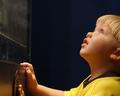 Wonderment
