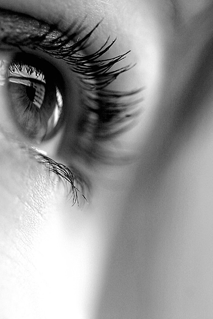 An Eye for A Ribbon