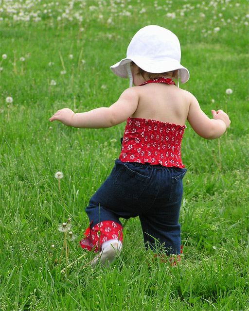 Toddling in the Pasture