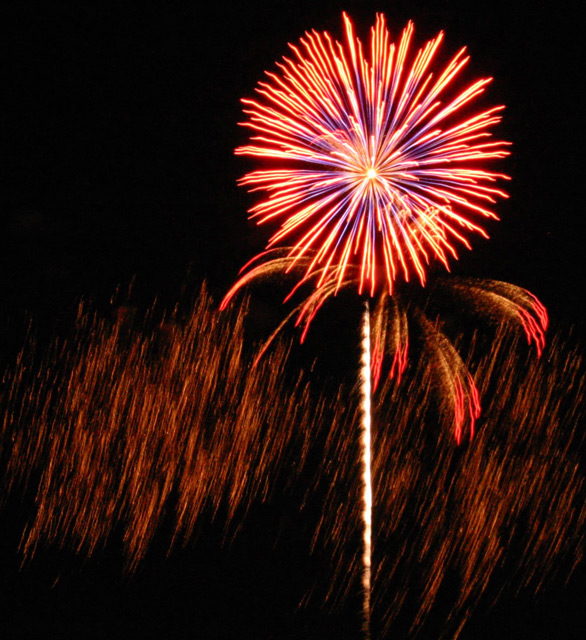 Firework Flower