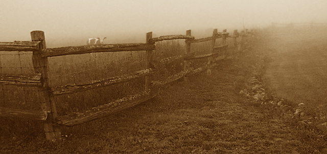 Morning Fog Greets The Country