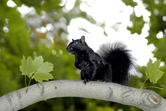 NO, you are driving me nuts!  So, stop taking my picture!