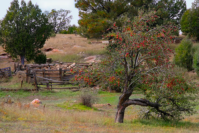 Home on the range