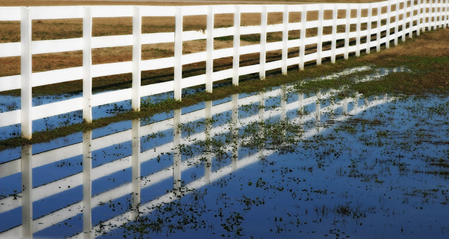 December Puddle