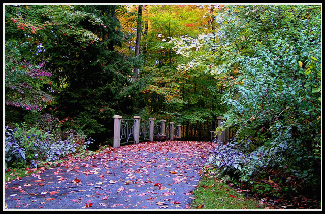 A Walk in the Park