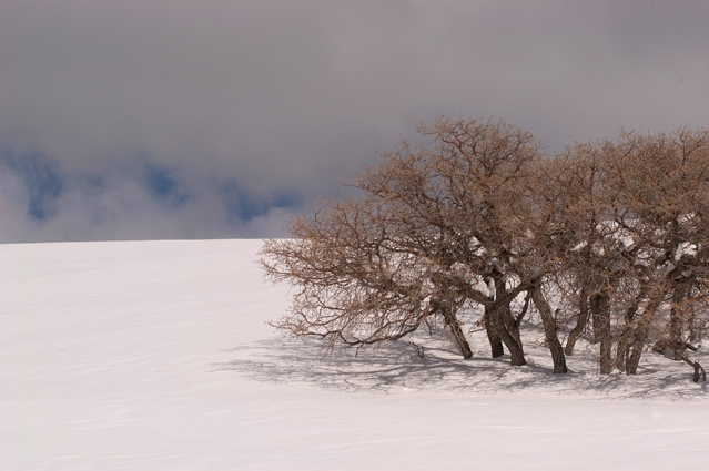 Les Vosges , Utah