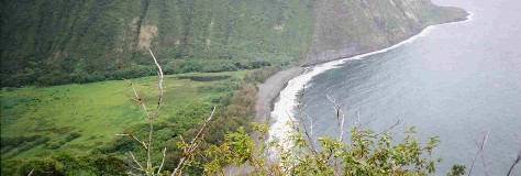 Shoreline in Hawaii