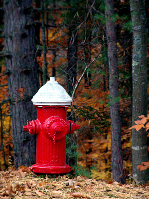 Hydrant in Fall