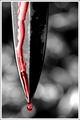 Knife or Death?