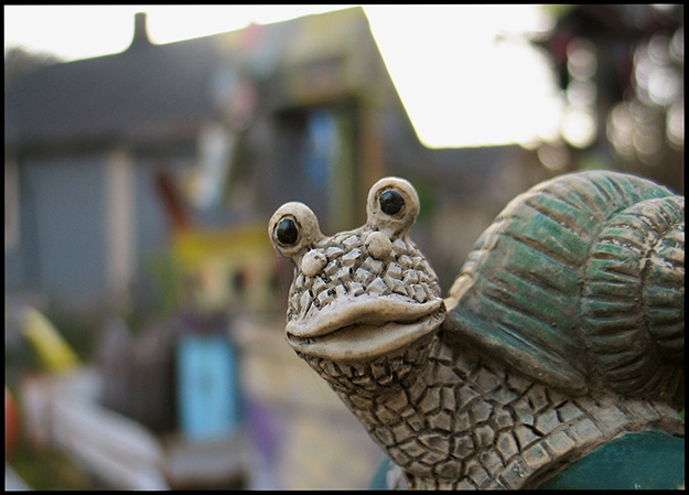 In The Jenkins' Front Yard