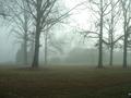 House of Sand and Fog