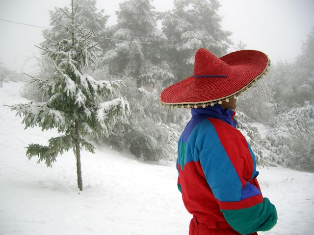 the mexican