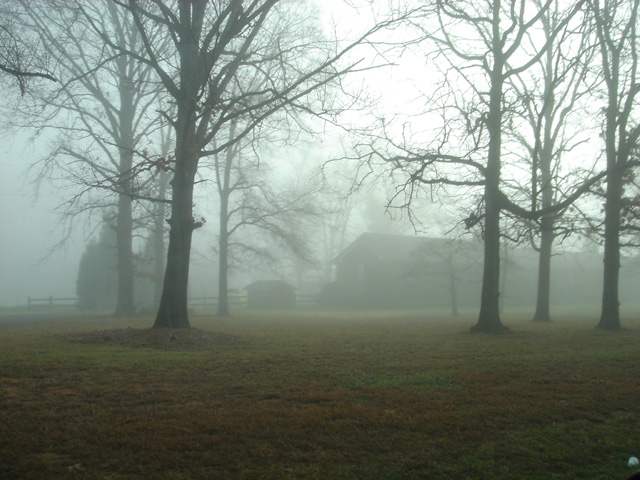 House of Sand and Fog