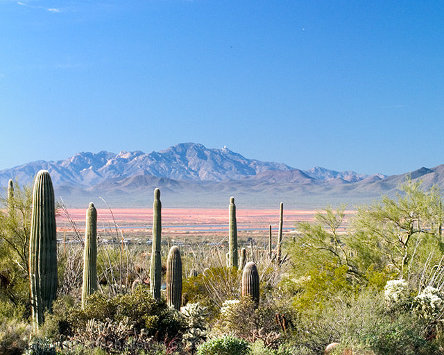 'Neath the Arizona Skies