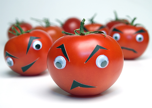 "Attack Of The Killer Tomatoes!"