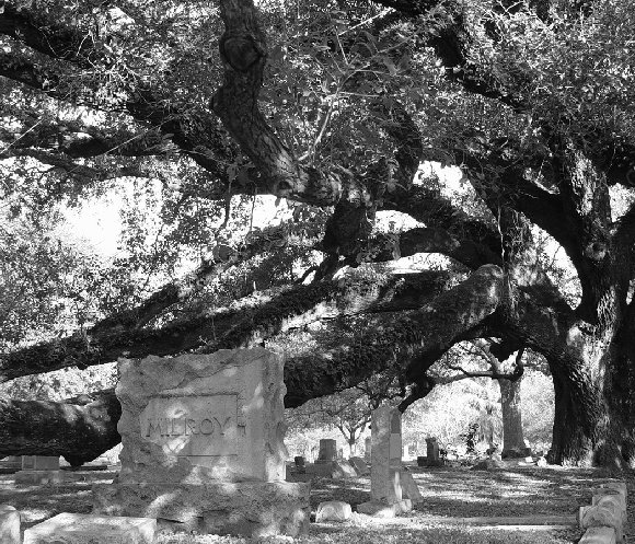 Pet Cemetery