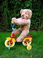 bearcycle