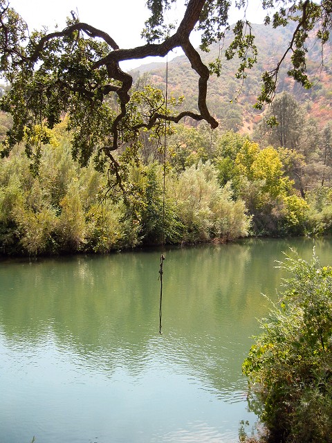 Swimming Hole