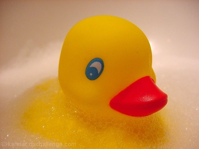 Rubber Ducky, You're the One!