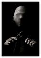 The knitter