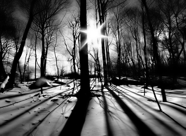 Through the Shadows