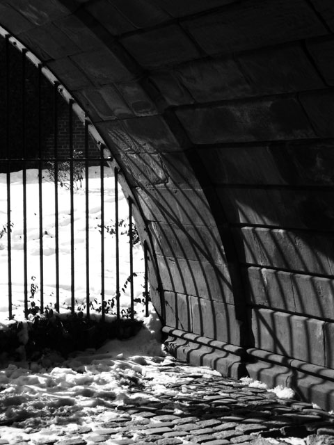 Caged Afternoon Shadows