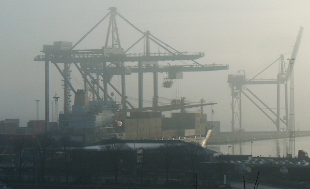 harbour in sunlight and fog