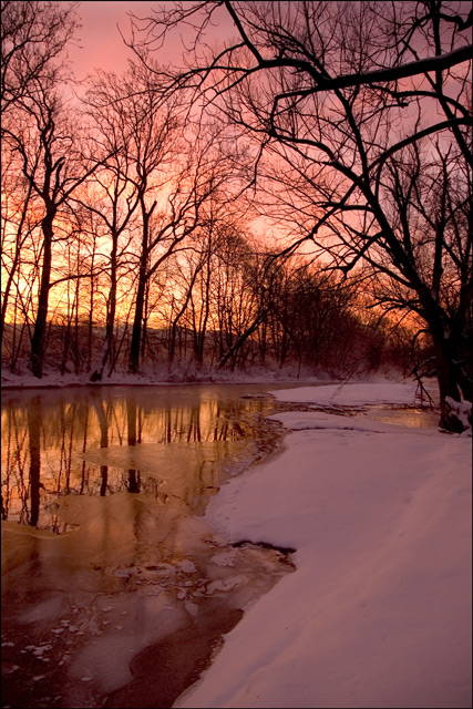 Morning Light