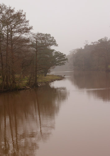 Daybreak on the Bayou