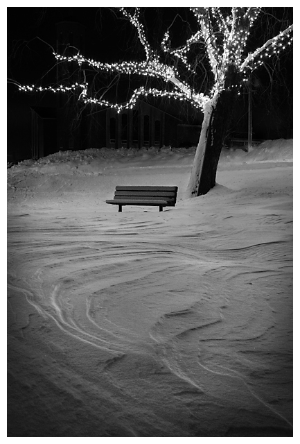 Winter Bench