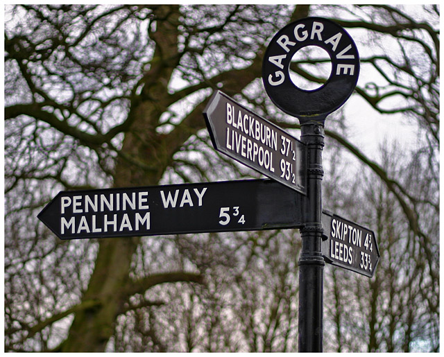 Any Which Way ?