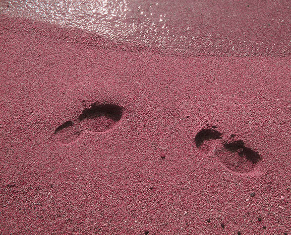 Pink Footprints